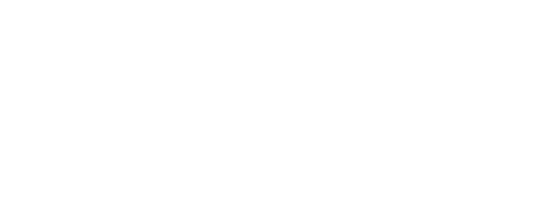 The Black Wealth Company 